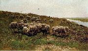 Mauve, Anton Sheep on a dyke oil on canvas